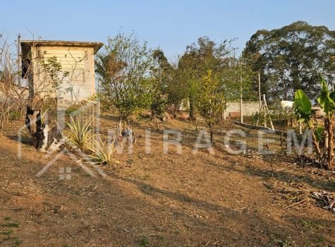 WhatsApp Image 2025-08-18 at 11.48.40 (1)