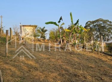 WhatsApp Image 2025-08-18 at 11.48.40