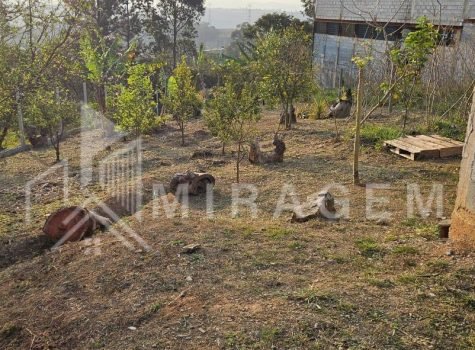 WhatsApp Image 2025-08-18 at 11.48.41